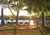 Wahnsinns-Wochenende im Biergarten am Aachener Weiher